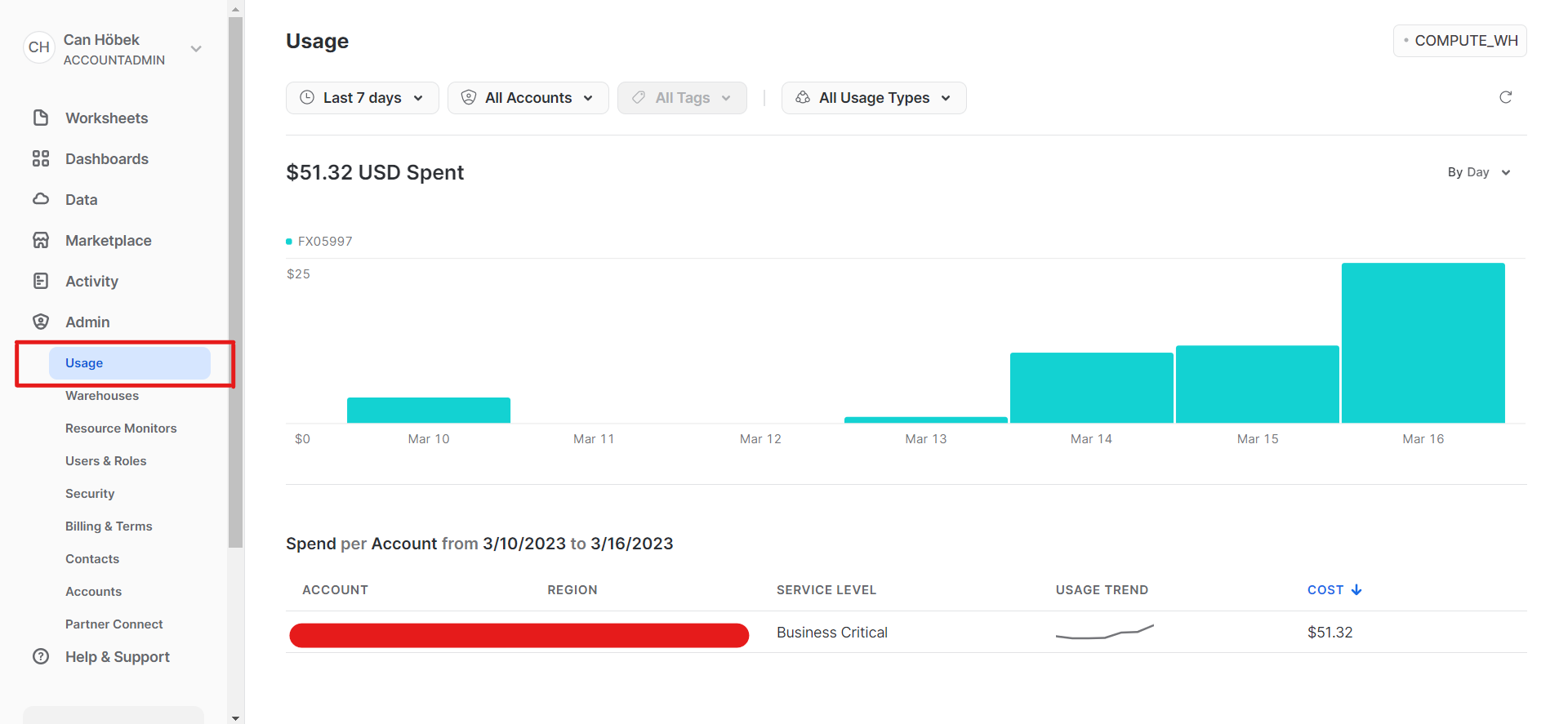 How To Check Your Usage History in Snowflake